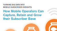 Turning Big Data into Mobile Subscriber Insights Turning Big Data into Mobile Subscriber Insights