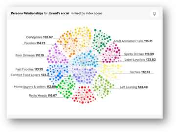 Persona Relationships for Brand's Social Ranked by Index Score
